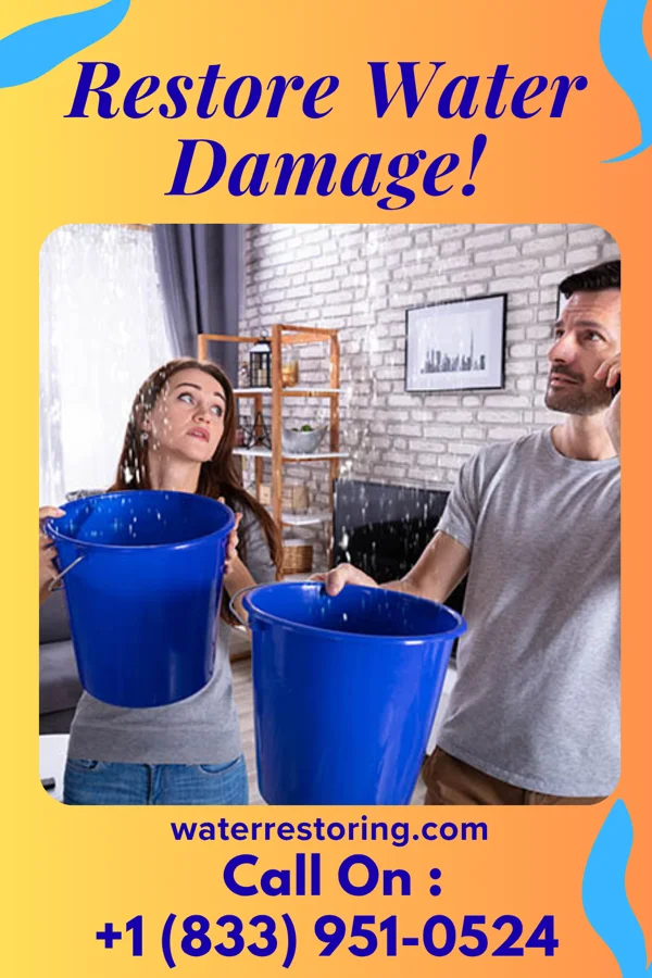 water restoration Southern Water Mitigation Masters Montrose Manor