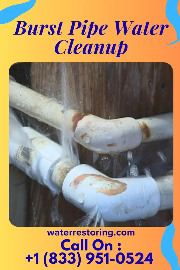 Burst Pipe Water Cleanup in Montrose Manor, PA