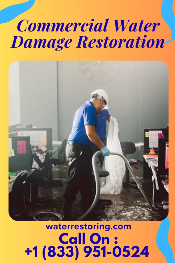 Commercial Water Damage Restoration in Montrose Manor, PA