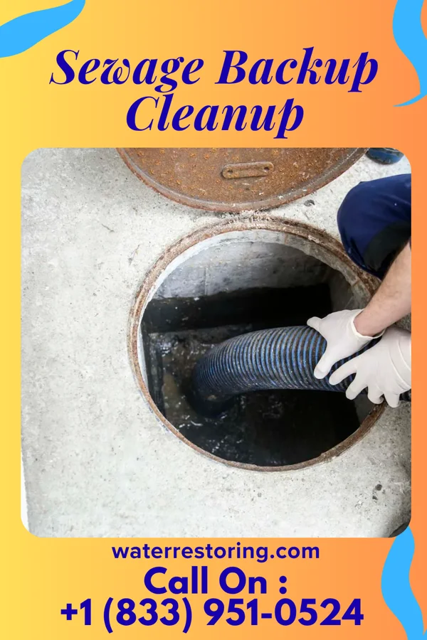 Sewage Backup Cleanup in Montrose Manor, PA