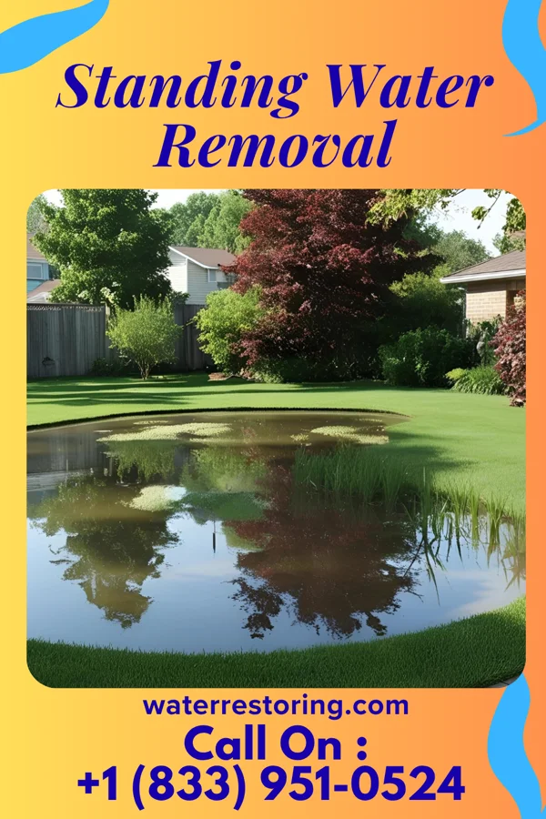 Standing Water Removal in Montrose Manor, PA